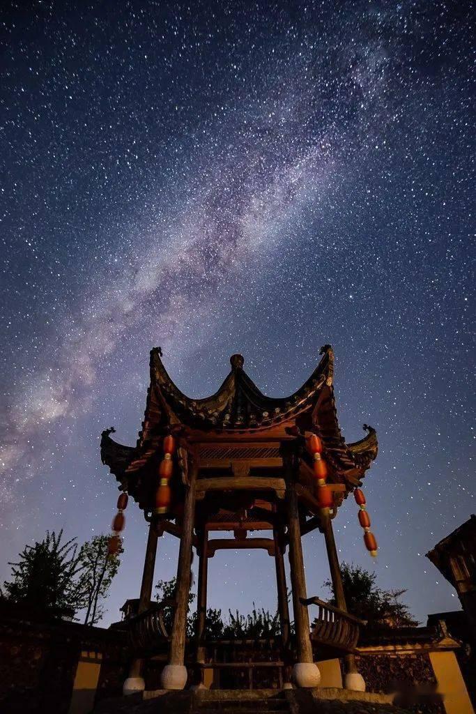 破碎的动物图形3