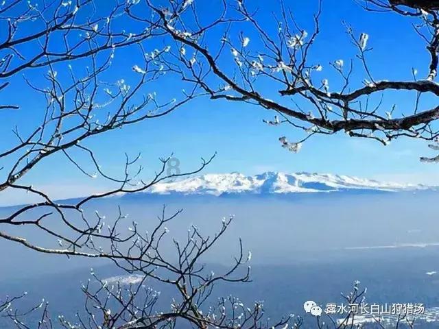 儿童算术题