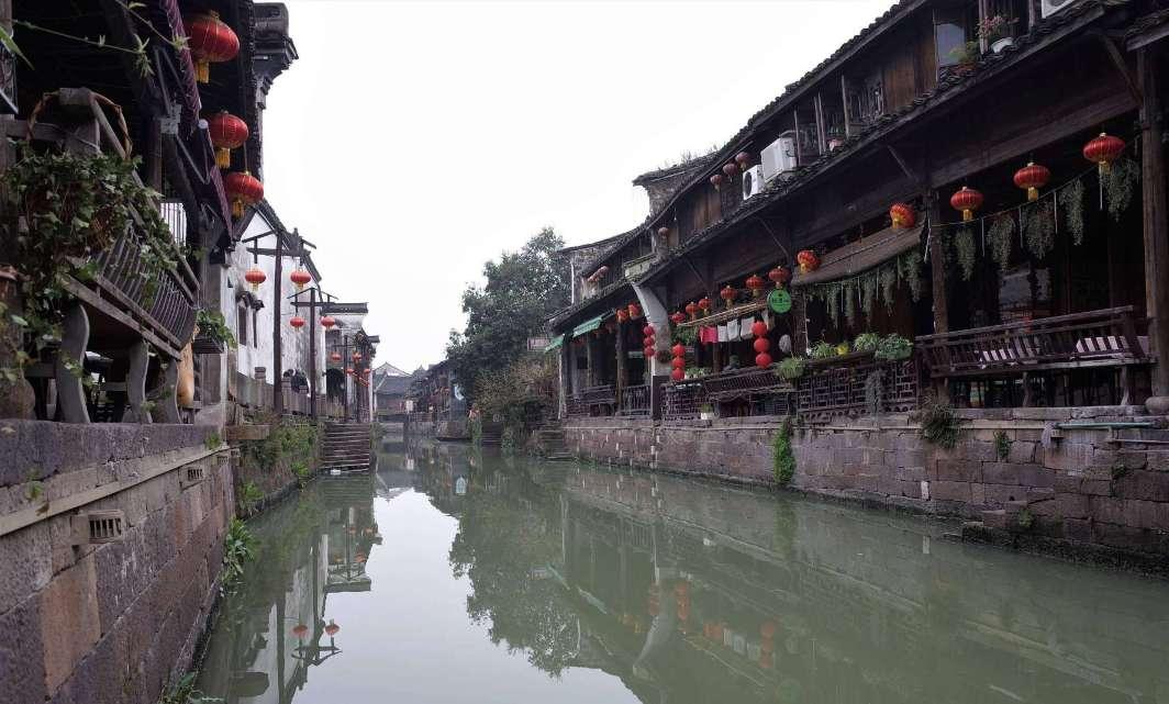 植物大战僵尸1
